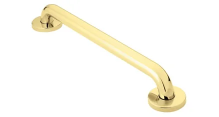 Moen Home Care grab bar